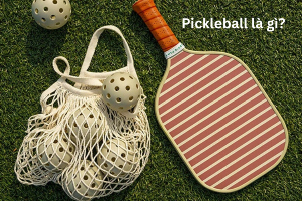 2024_5_14_638513275556343156_pickleball-la-gi