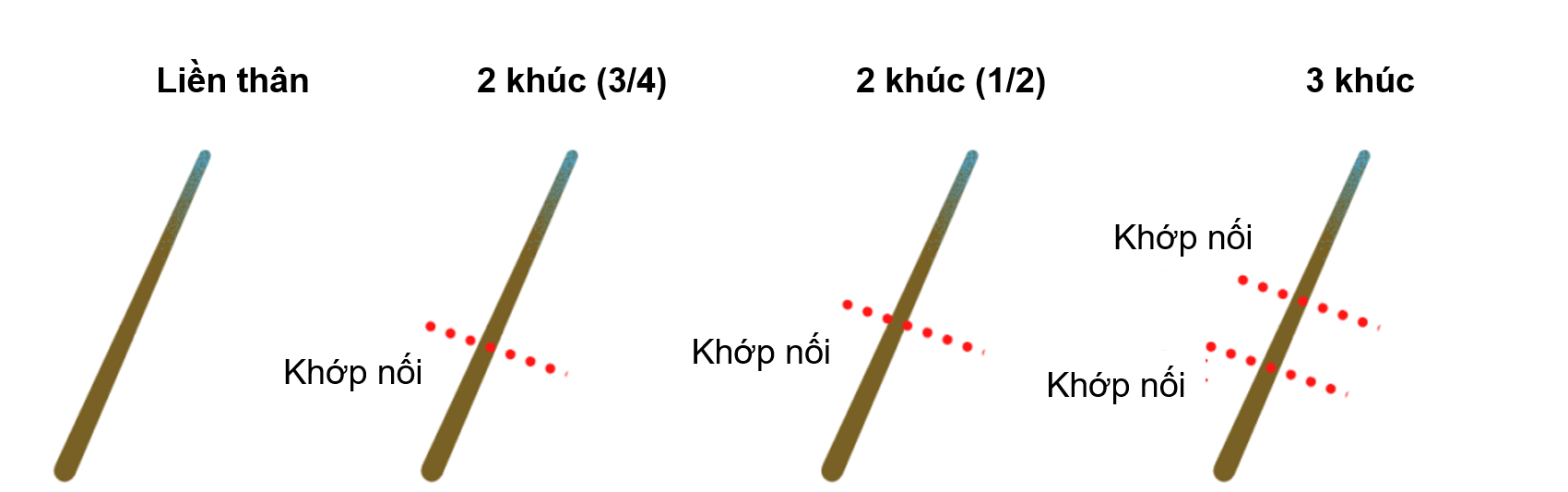 Cấu Trúc Cơ Bida